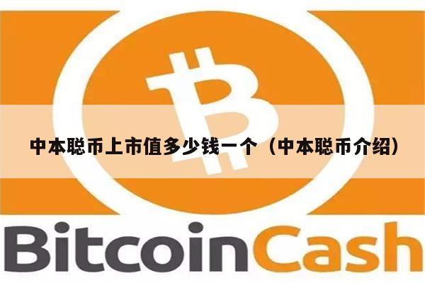 中本聪币上市值多少钱一个（中本聪币介绍）-第1张图片-币安app下载