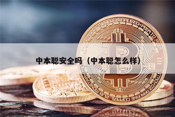 中本聪安全吗（中本聪怎么样）-第1张图片-币安app下载