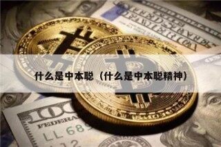 什么是中本聪（什么是中本聪精神）