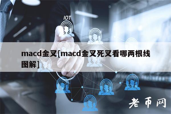 macd金叉[macd金叉死叉看哪两根线图解]-第1张图片-币安app下载
