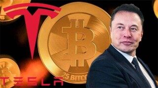 下一个牛市会暴涨的币 - 下个牛市能暴涨的币