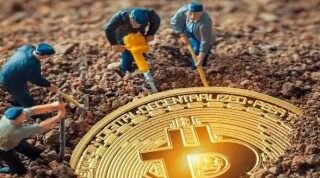 2022年最具潜力的币 - 2022年最有潜力的币