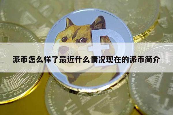 派币怎么样了最近什么情况现在的派币简介-第1张图片-币安app下载