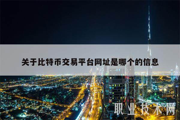 关于比特币交易平台网址是哪个的信息-第1张图片-币安app下载