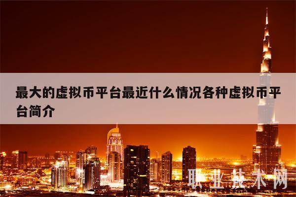 最大的虚拟币平台最近什么情况各种虚拟币平台简介-第1张图片-币安app下载