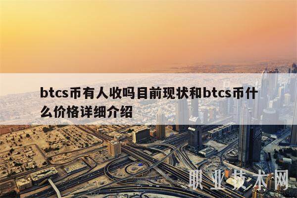 btcs币有人收吗目前现状和btcs币什么价格详细介绍-第1张图片-币安app下载