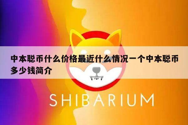 中本聪币什么价格最近什么情况一个中本聪币多少钱简介-第1张图片-币安app下载