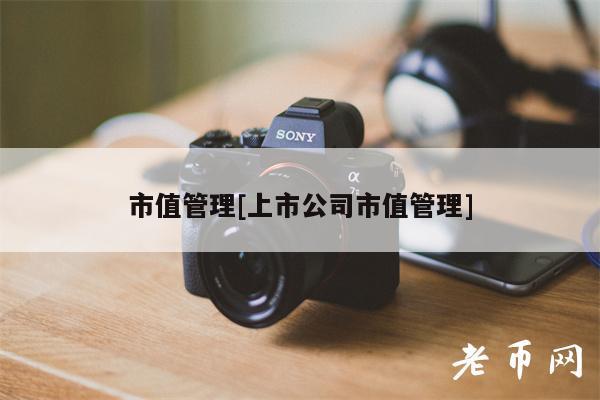 市值管理[上市公司市值管理]-第1张图片-币安app下载