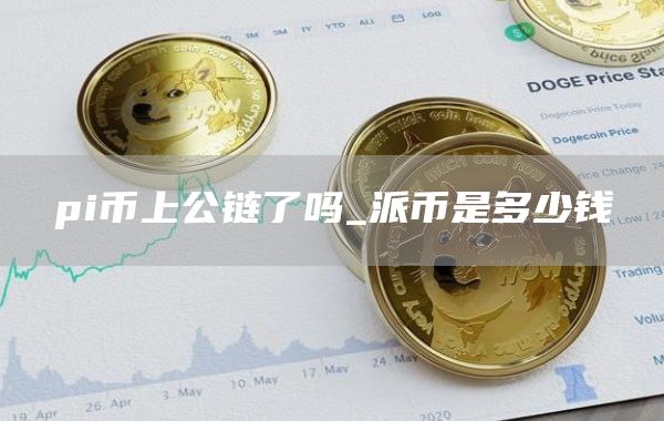 pi币上公链了吗_派币是多少钱