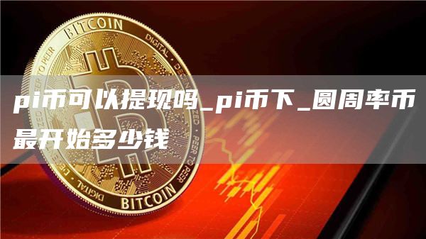pi币可以提现吗_pi币下_圆周率币最开始多少钱