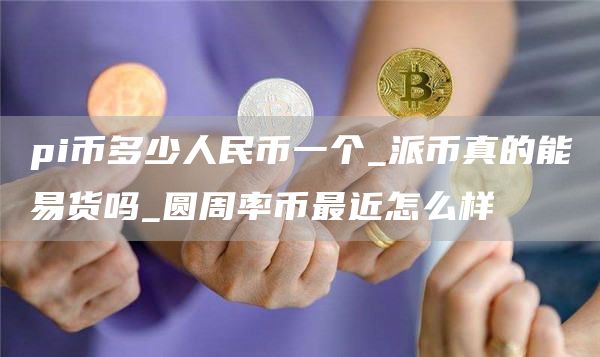 pi币多少人民币一个_派币真的能易货吗_圆周率币最近怎么样