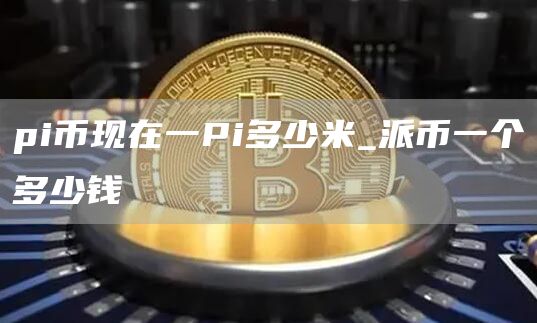 pi币现在一Pi多少米_派币一个多少钱