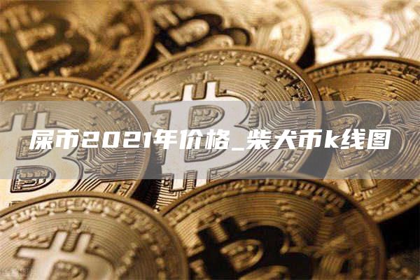 屎币2021年价格_柴犬币k线图