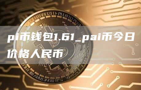 pi币钱包1.61_pai币今日价格人民币