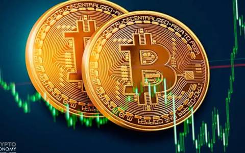 莱特币隔离投票情况 - 莱特币消息