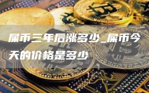 屎币三年后涨多少_屎币今天的价格是多少