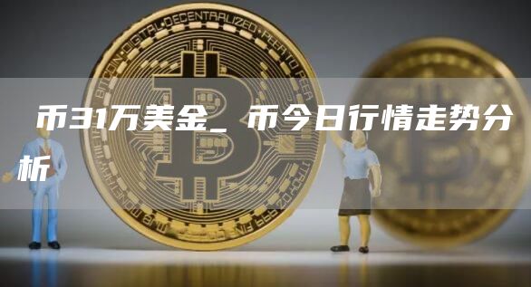 π币31万美金_π币今日行情走势分析