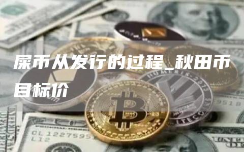 屎币从发行的过程_秋田币目标价