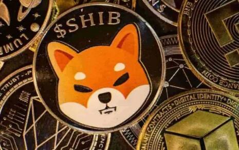 比特币会涨到1000万美金吗_2023比特币会跌到1万美元