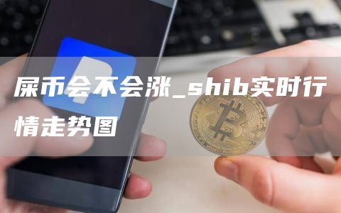 屎币会不会涨_shib实时行情走势图