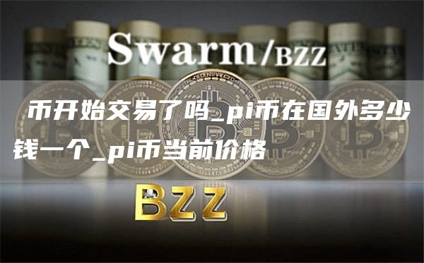 π币开始交易了吗_pi币在国外多少钱一个_pi币当前价格