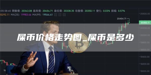 屎币价格走势图_屎币是多少