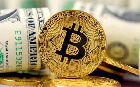 币圈有那几个百倍币 百倍币有什么特点