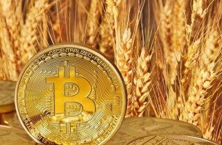 维卡币怎么投资 - 维卡币的投资价值