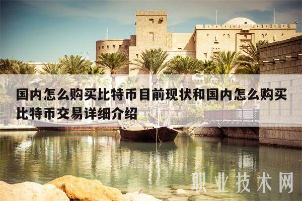 国内怎么购买比特币目前现状和国内怎么购买比特币交易详细介绍-第1张图片-币安app下载