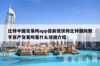 比特中国交易所app目前现状和比特国际数字资产交易所是什么详细介绍