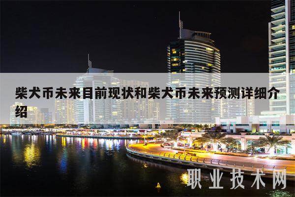 柴犬币未来目前现状和柴犬币未来预测详细介绍-第1张图片-币安app下载