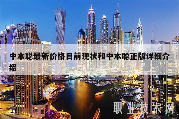 中本聪最新价格目前现状和中本聪正版详细介绍-第1张图片-币安app下载