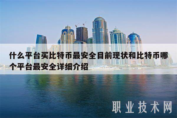 什么平台买比特币最安全目前现状和比特币哪个平台最安全详细介绍-第1张图片-币安app下载