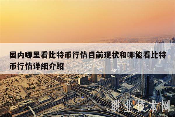 国内哪里看比特币行情目前现状和哪能看比特币行情详细介绍-第1张图片-币安app下载