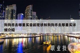 狗狗币去哪里买目前现状和狗狗币去那里买详细介绍