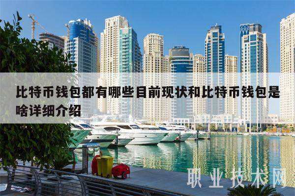 比特币钱包都有哪些目前现状和比特币钱包是啥详细介绍-第1张图片-币安app下载