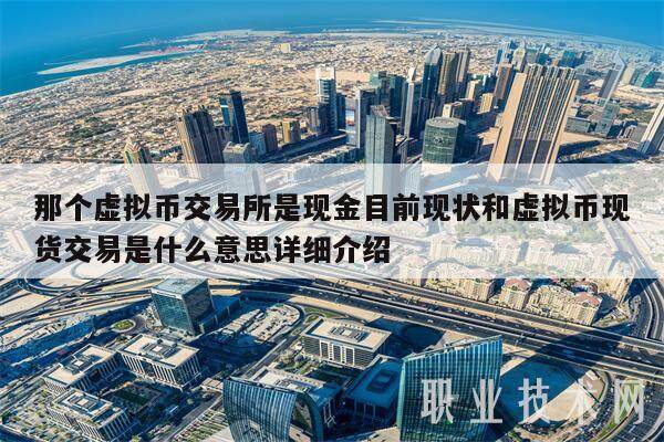 那个虚拟币交易所是现金目前现状和虚拟币现货交易是什么意思详细介绍-第1张图片-币安app下载