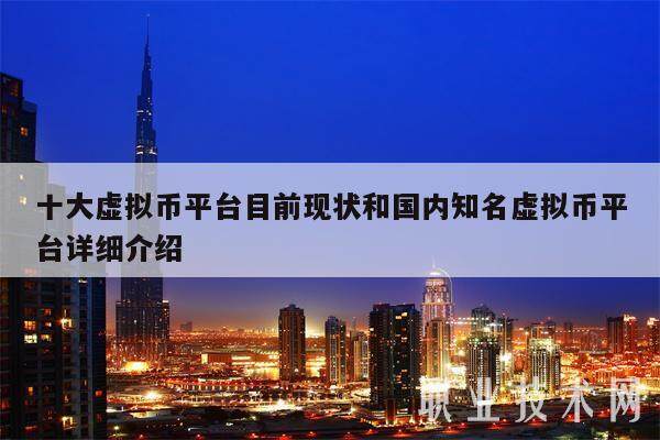 十大虚拟币平台目前现状和国内知名虚拟币平台详细介绍-第1张图片-币安app下载