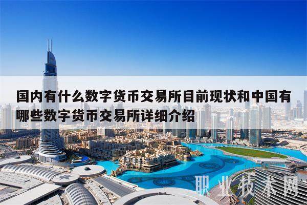 国内有什么数字货币交易所目前现状和中国有哪些数字货币交易所详细介绍-第1张图片-币安app下载
