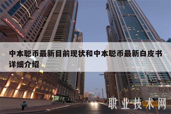 中本聪币最新目前现状和中本聪币最新白皮书详细介绍-第1张图片-币安app下载