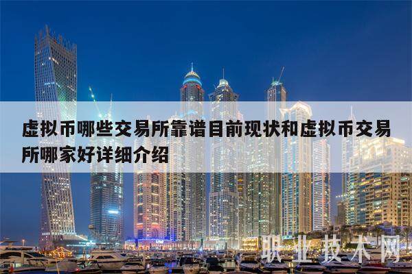 虚拟币哪些交易所靠谱目前现状和虚拟币交易所哪家好详细介绍-第1张图片-币安app下载