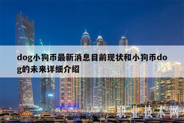 dog小狗币最新消息目前现状和小狗币dog的未来详细介绍-第1张图片-币安app下载