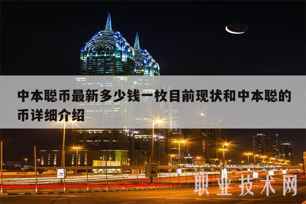 中本聪币最新多少钱一枚目前现状和中本聪的币详细介绍-第1张图片-币安app下载