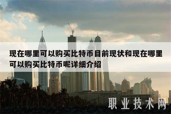 现在哪里可以购买比特币目前现状和现在哪里可以购买比特币呢详细介绍-第1张图片-币安app下载