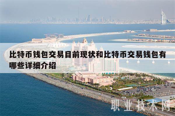 比特币钱包交易目前现状和比特币交易钱包有哪些详细介绍-第1张图片-币安app下载