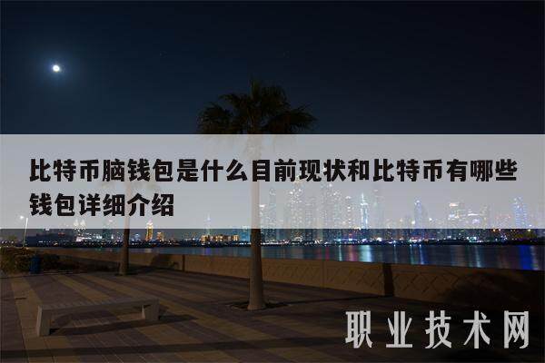 比特币脑钱包是什么目前现状和比特币有哪些钱包详细介绍-第1张图片-币安app下载