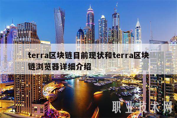 terra区块链目前现状和terra区块链浏览器详细介绍-第1张图片-币安app下载