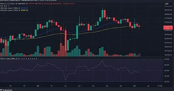 80%的BTC钱包都赚了，比特币真的进入新牛市了？-第6张图片-币安app下载