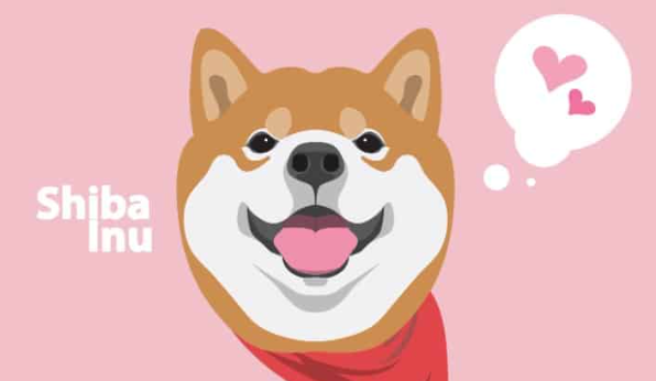 SHIB筹集了超过130万美元-第1张图片-币安app下载