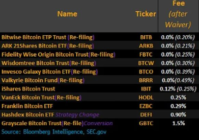 美SEC批准11只比特币现货ETF！-第3张图片-币安app下载